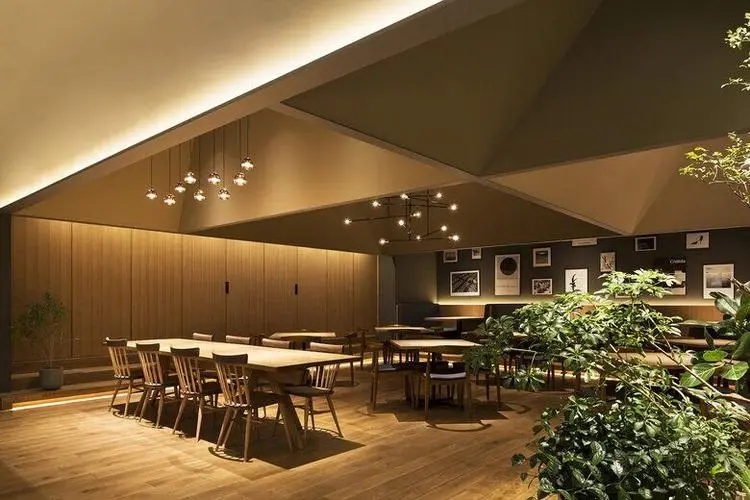 餐飲設(shè)計：塑造獨特空間，吸引食客目光
